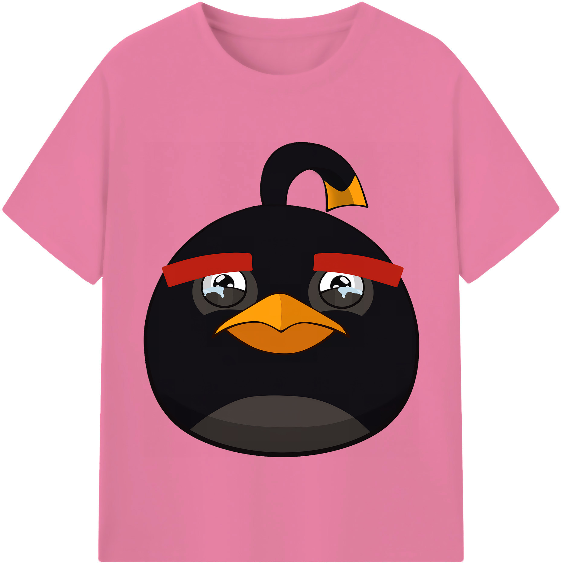 （画像用） Angry Birds アングリーバード 綿100％半袖Tシャツ（フロントプリント）